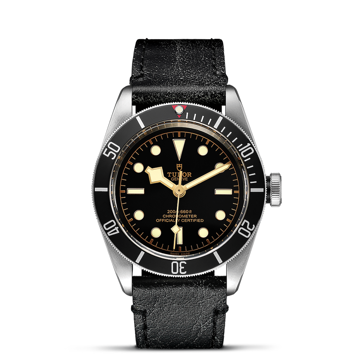 Tudor Black Bay M79230N-0008 Tomasini Francia